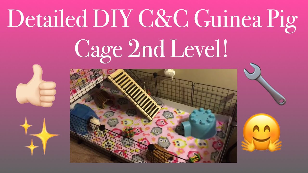 Detailed DIY C&C Guinea Pig Cage 2nd Level! || Piggies World