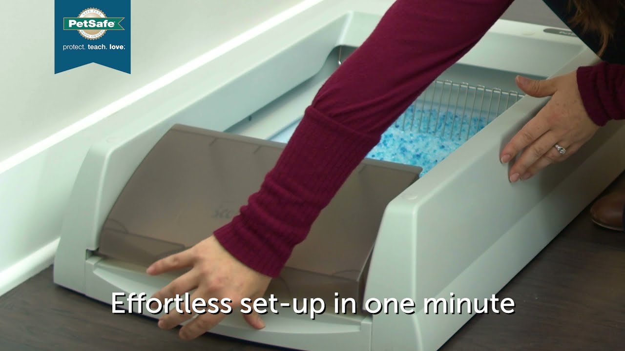 ScoopFree&trade; Self-Cleaning Litter Box Original &ndash; Overview