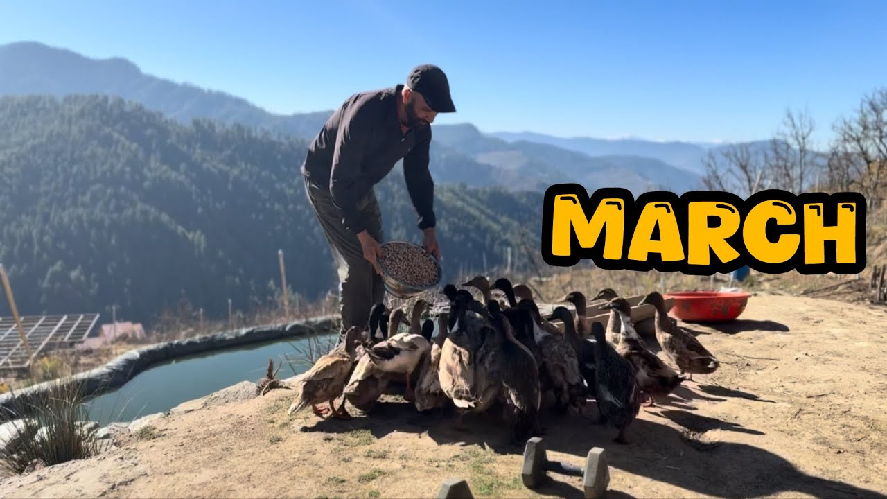March - The Farm Wakes up 