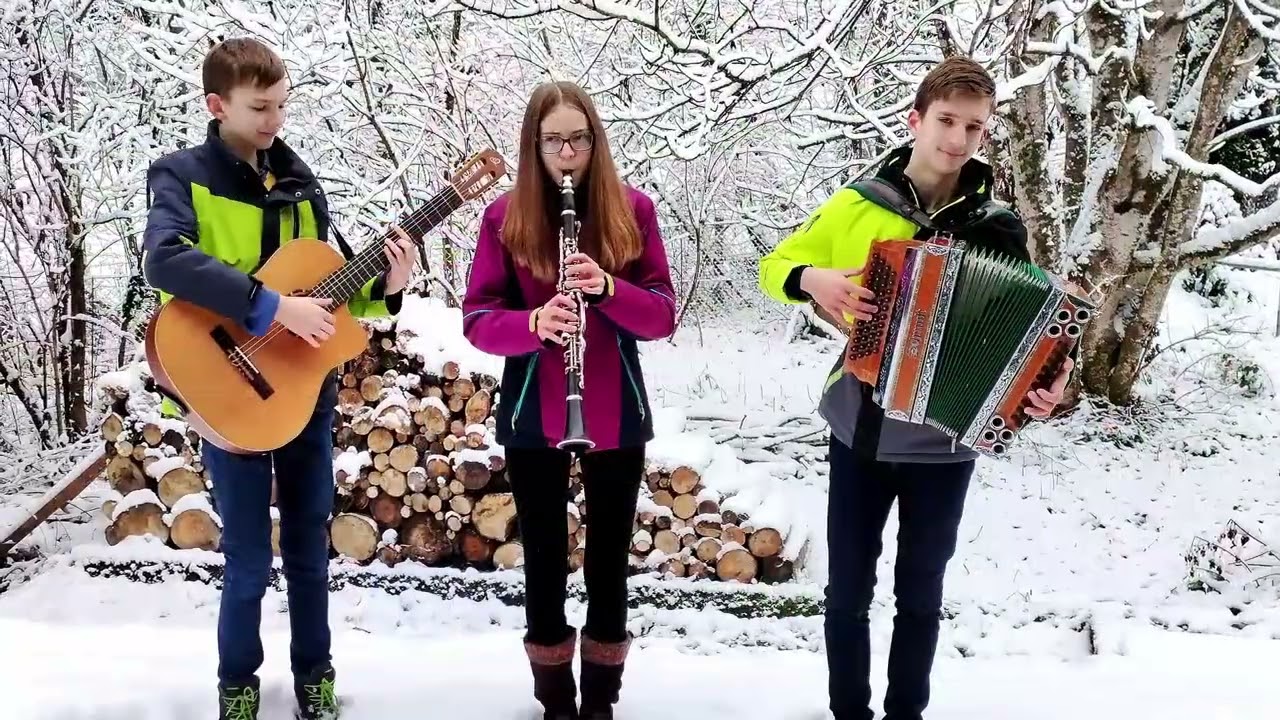 Bauernmenuett