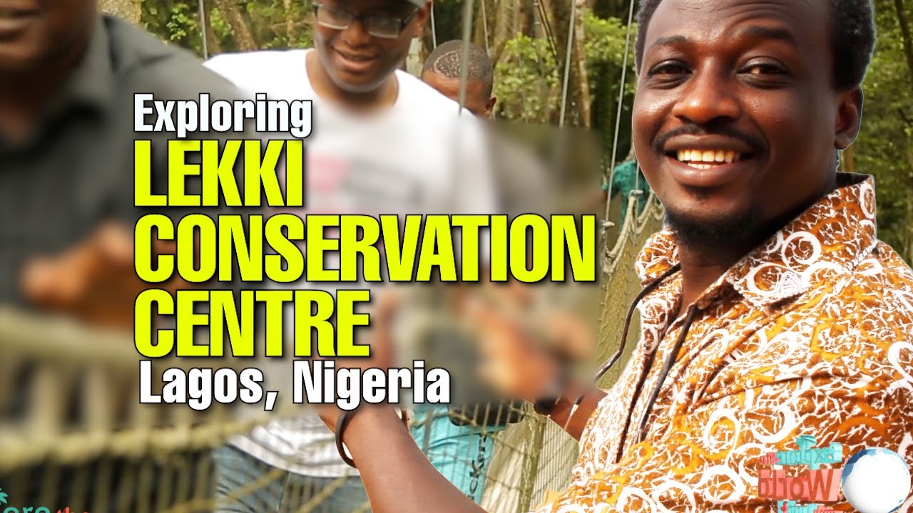 Lekki Conservation Centre: Nature's Best Kept Secret in Nigeria's Busiest City