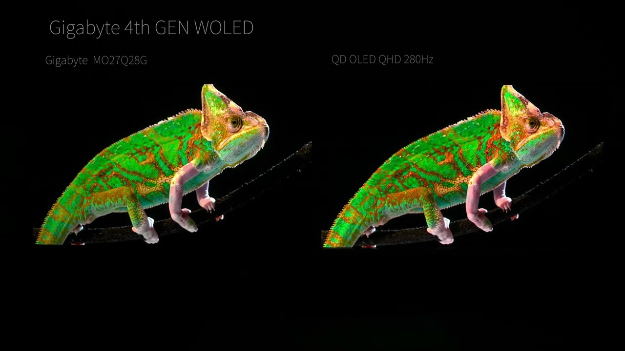 Gigabyte new 4th Gen WOLED MO27Q28G VS QD OLED