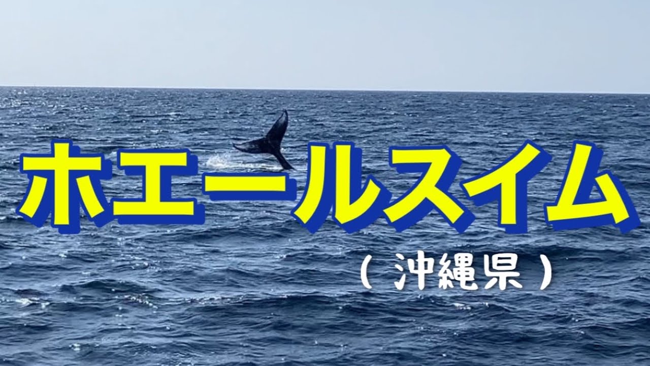 ホエールスイム（沖縄県）@沖縄ダイブリンカー