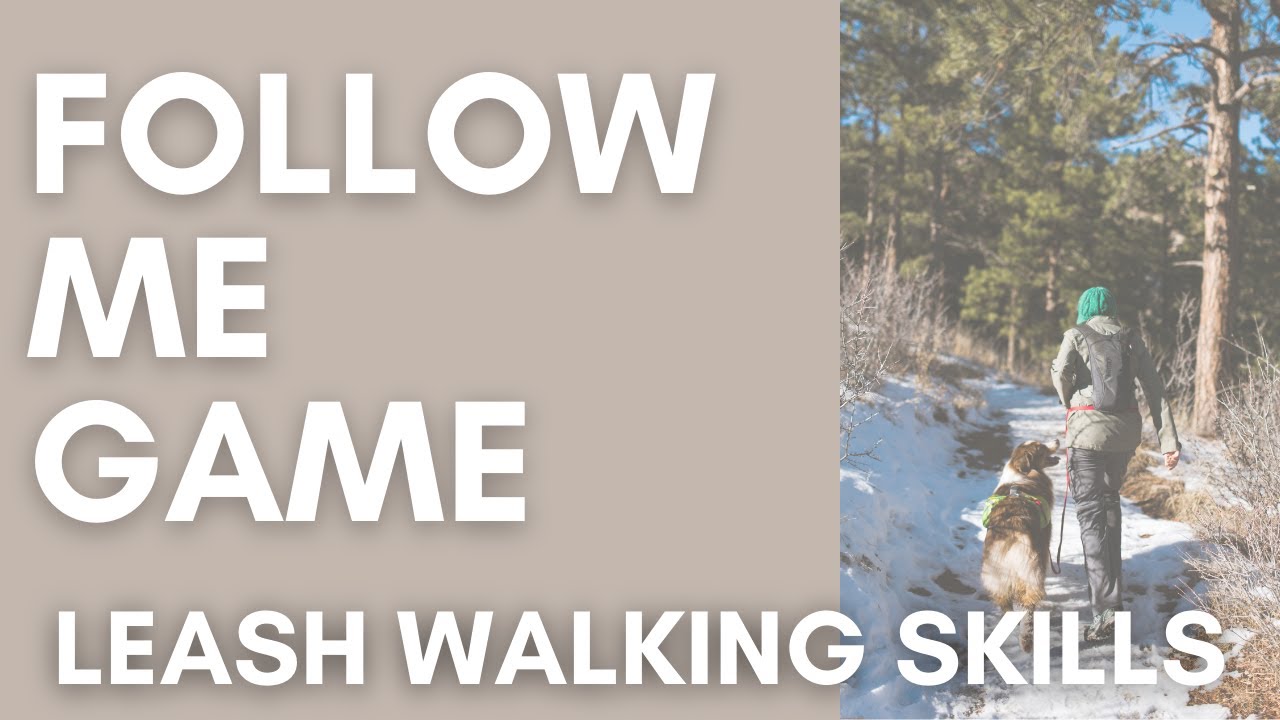 Loose Leash Walking Game  - Follow Me / Waltzing with Your Dog
