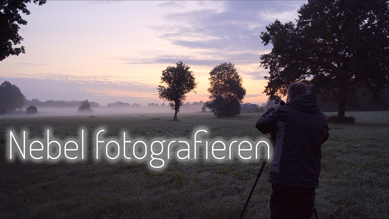 Nebel fotografieren - Morgens auf der Wiese I 4K UHD
