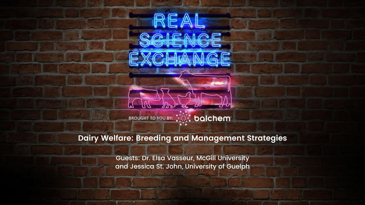 Dairy Welfare with Dr. Elsa Vasseur, McGill University