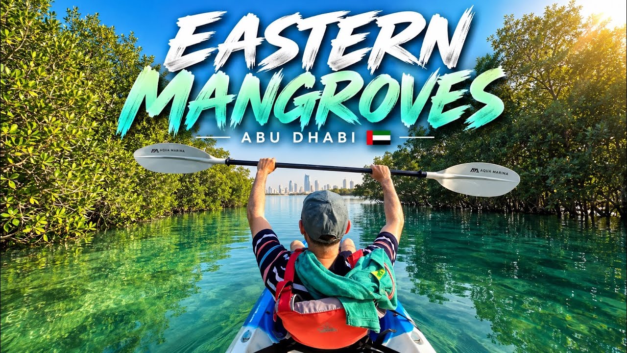 Eastern Mangroves Kayak Abu Dhabi | 4K