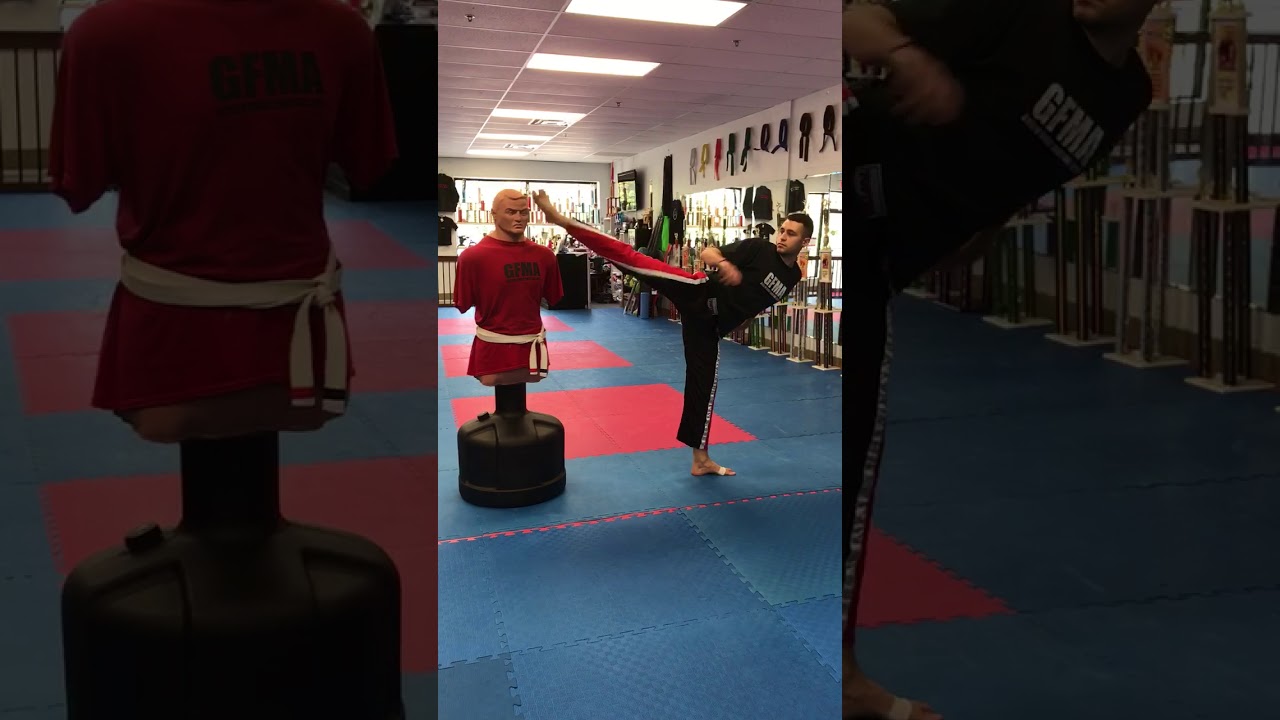 Amazing Martial Arts Kicks