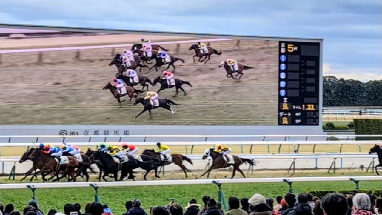 【未勝利戦2026】サッポロイクコ初勝利！1〜9着までクビ差決着の珍事！