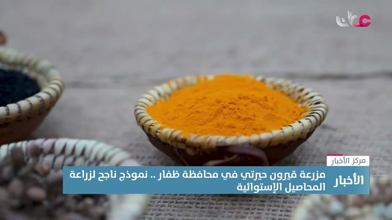 تقرير| مزرعة قيرون حيرتي في محافظة ظفار.. نموذج ناجح لزراعة المحاصيل الإستوائية
