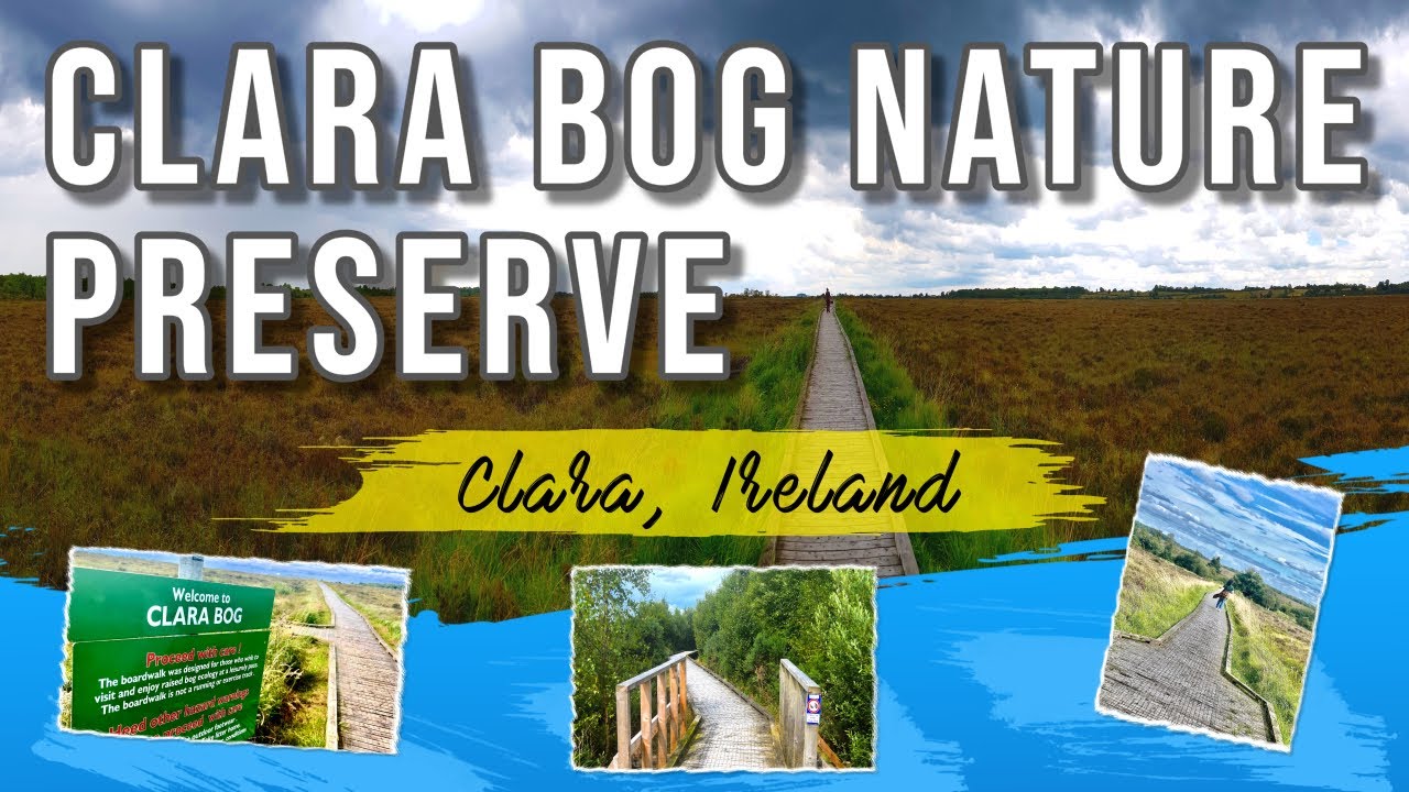 This Hidden Boardwalk Takes You Through an Ancient Irish Bog