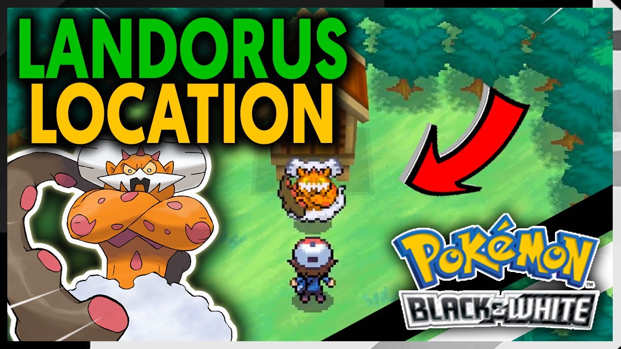 КАК ПОЛУЧИТЬ ЛАНДОРУСА В POKEMON BLACK AND WHITE