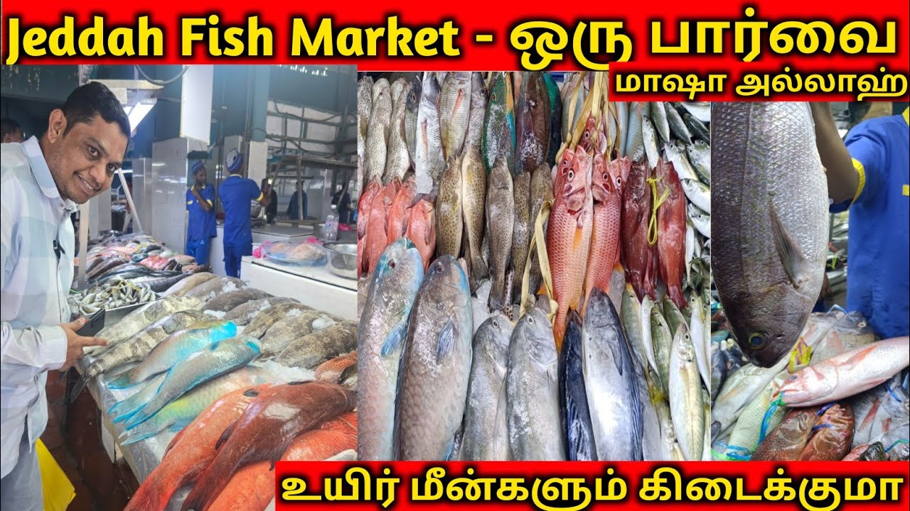 |Jeddah Fish Market - ஒரு பார்வை|உயிர் மீன்களும் கிடைக்குமா|