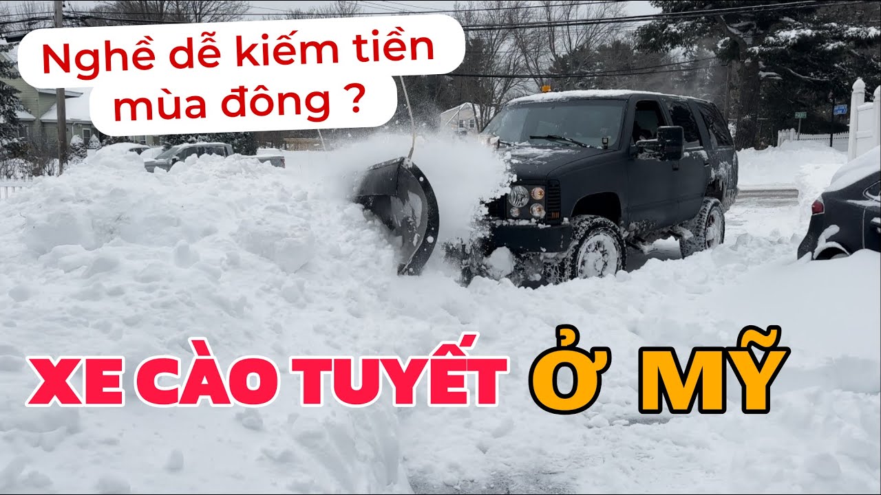 Bão tuyết ở Mỹ thiệt hại thế nào ?