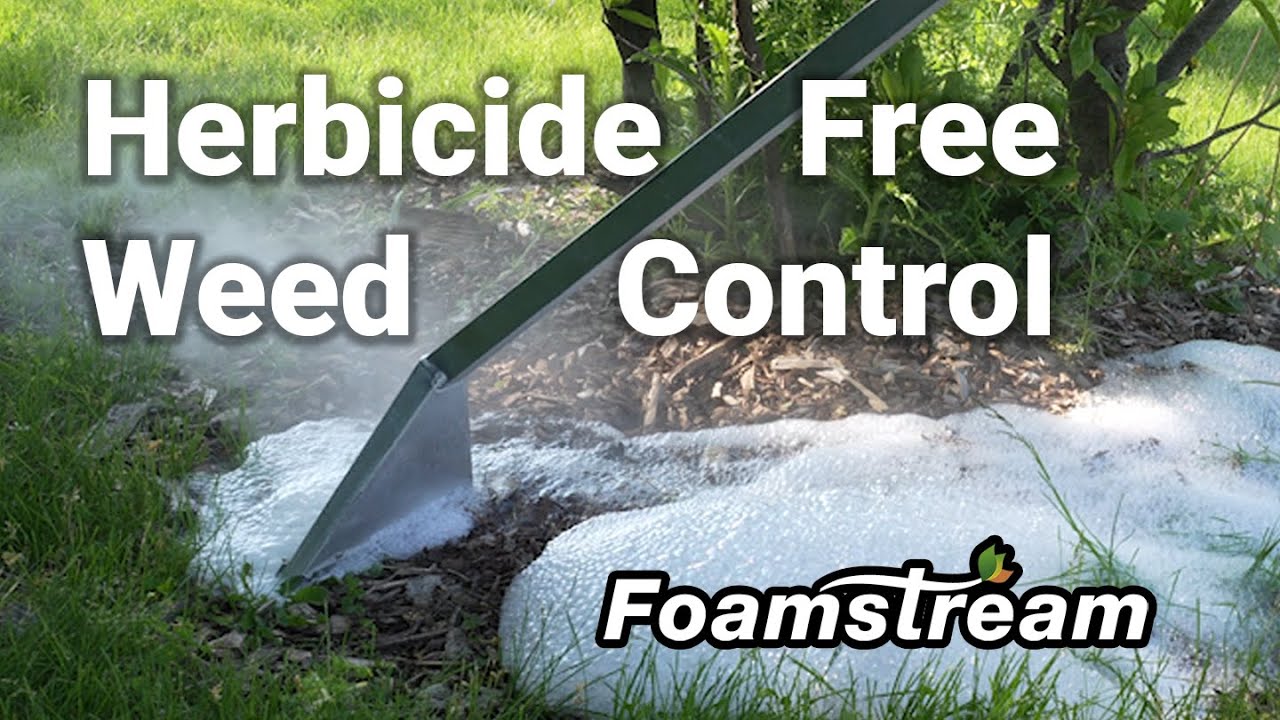 Foamstream: Herbicide-Free Weed Control
