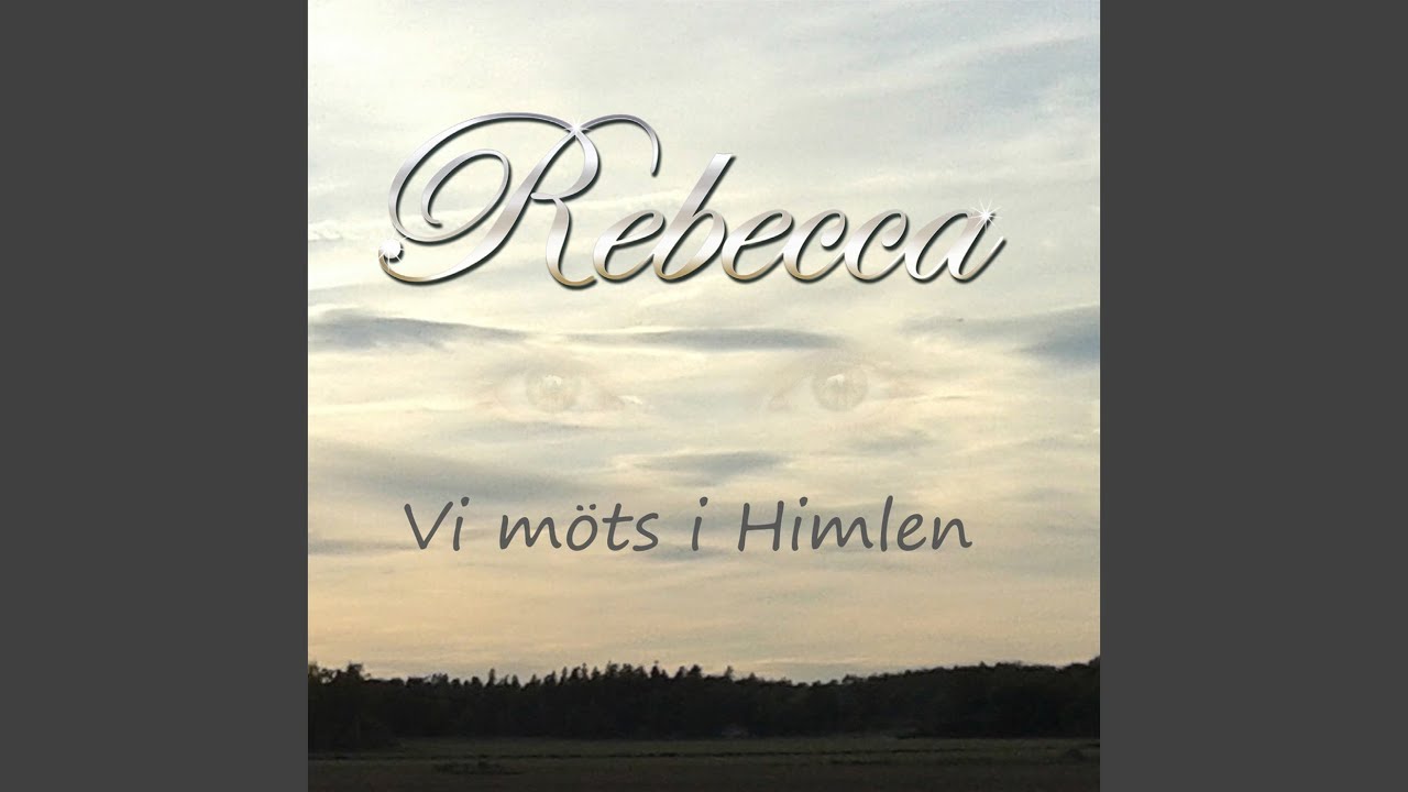 Vi M&ouml;ts I Himlen