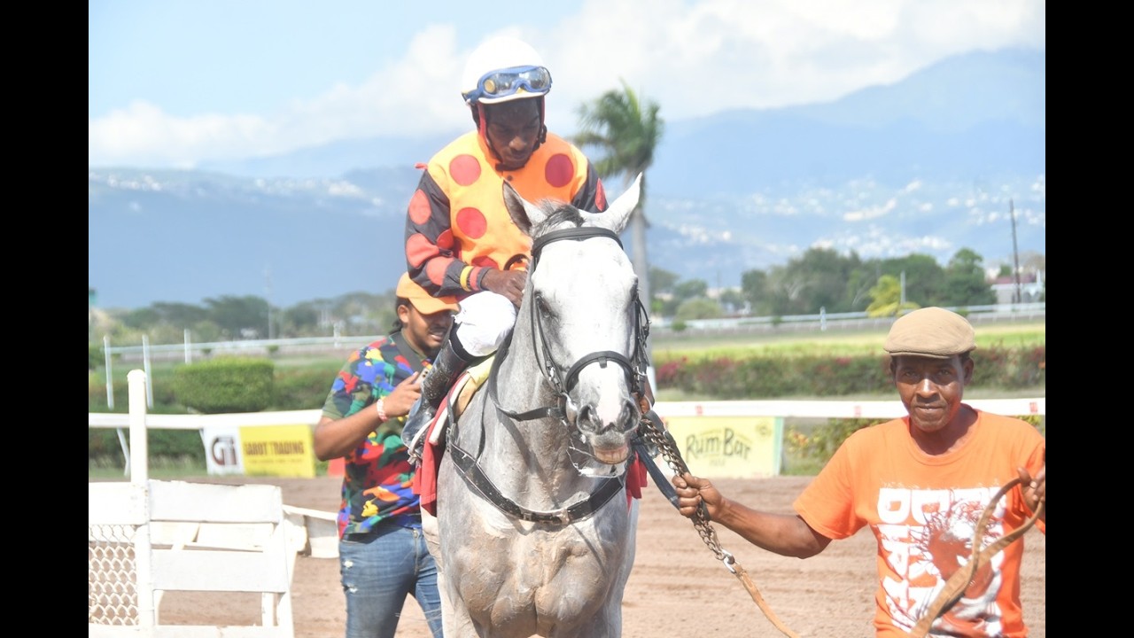 Watch All Races – Wednesday, February 18, 2026
