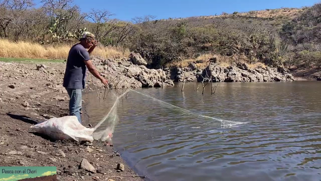 Como poner un Tumbo para una buena pesca