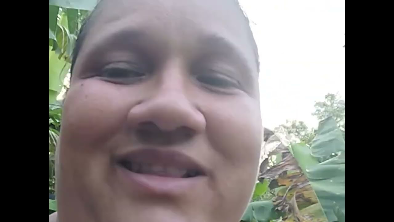 Quem planta colhe,muitas frutas