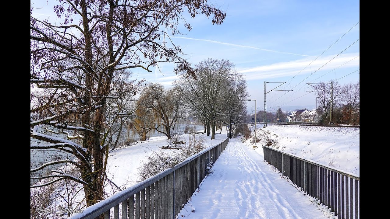 Irlich Rheinufer im Schnee