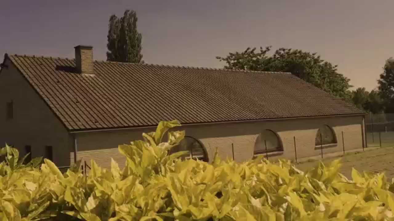 Rodrigo Gianotto - Canto da Sereia