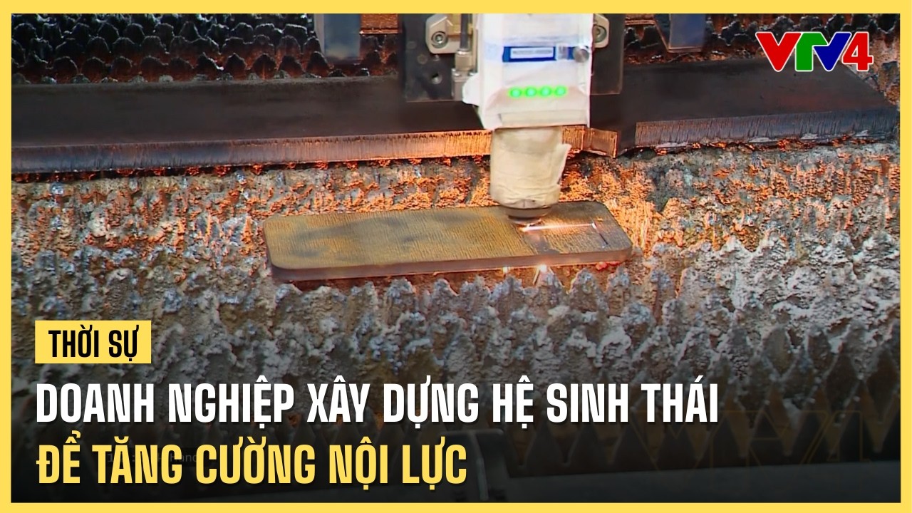 Doanh nghiệp xây dựng hệ sinh thái để tăng cường nội lực | VTV4
