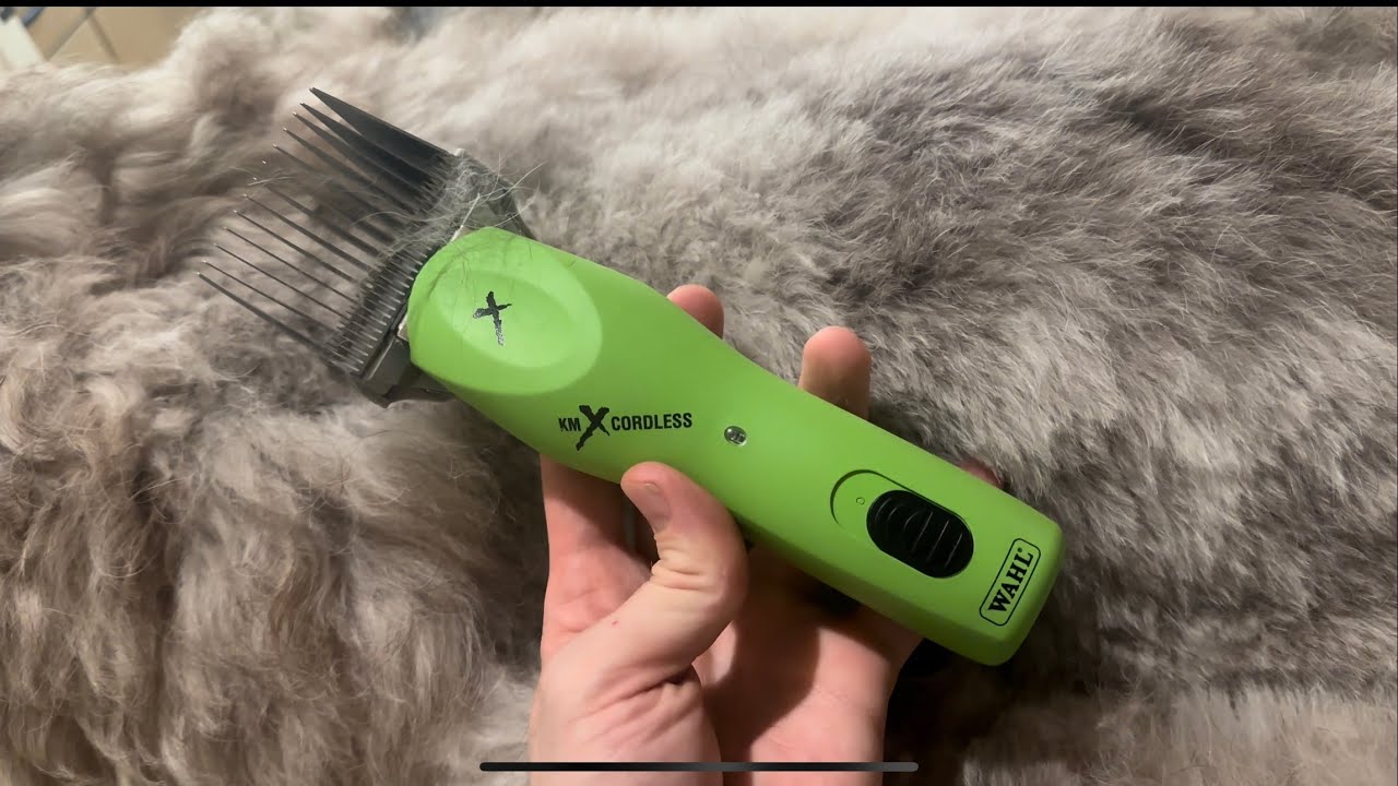 5 ⭐️Wahl KMX Cordless Clipper for Dog Grooming