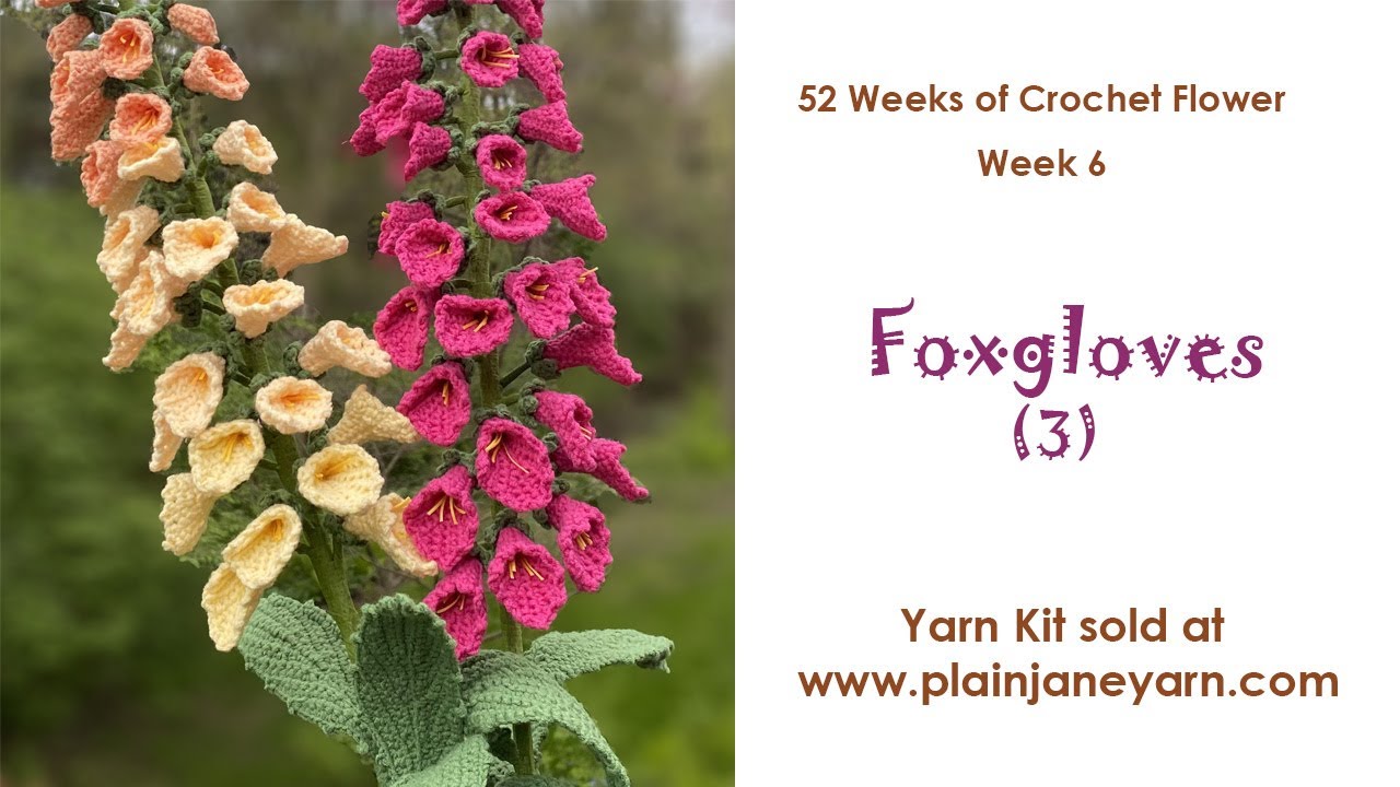 Foxglove (3)--Flower of Week 6