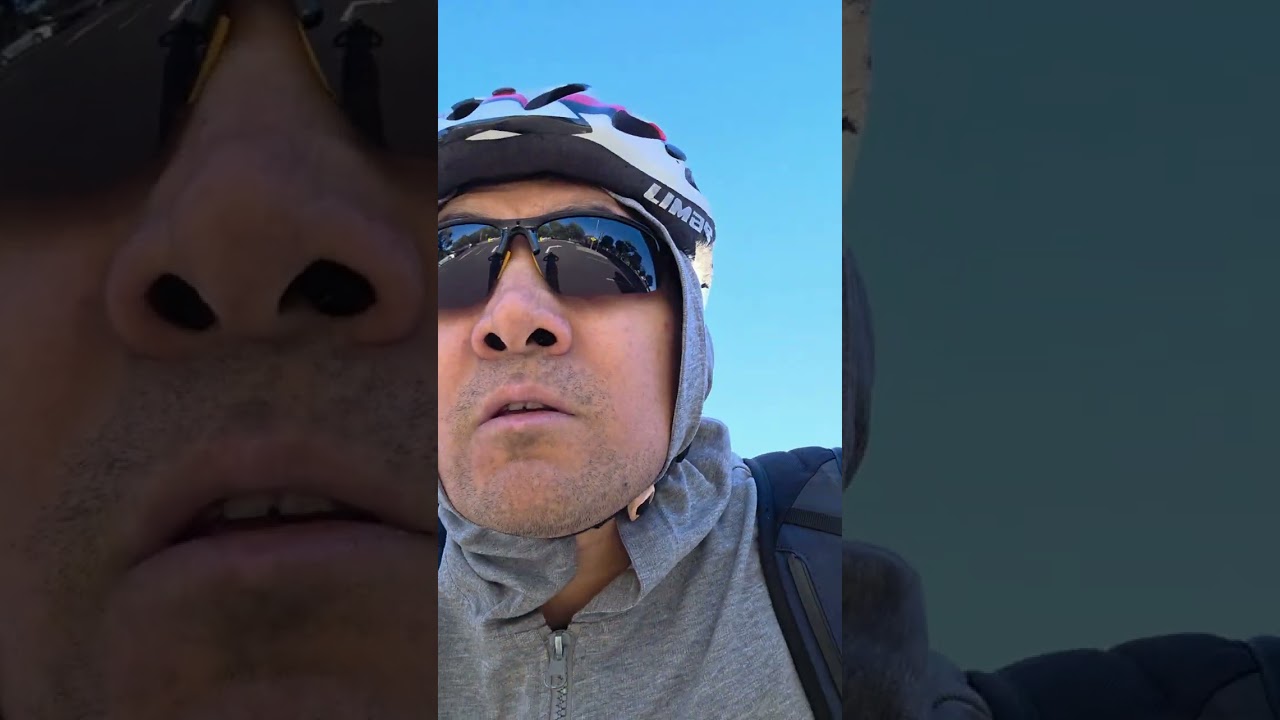 Swooping season 