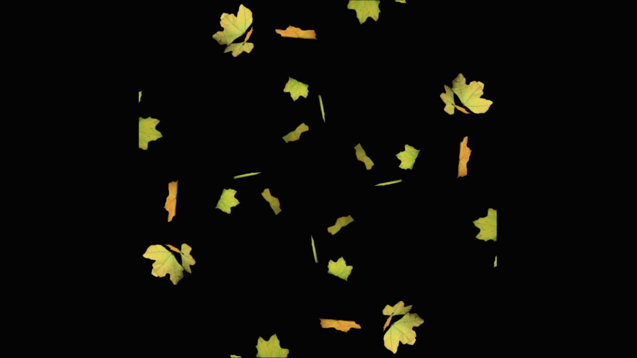 Falling Leaves - Pyramid Hologram Screen Down