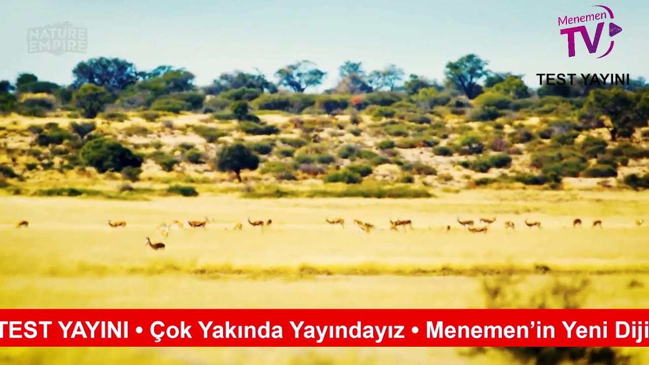 Menemen TV Test Yayını