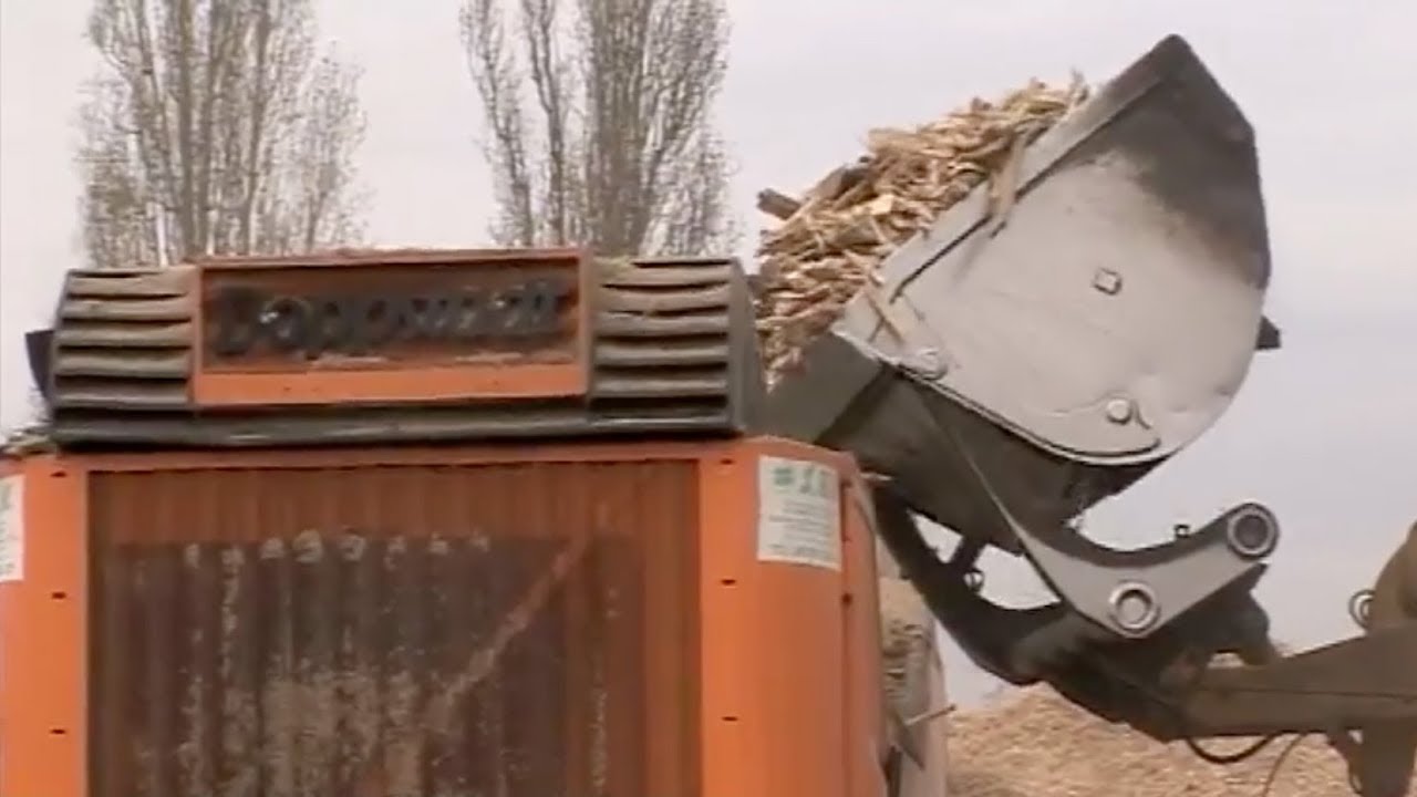 Bois énergie : une nécessaire multiplicité de sources d'approvisionnement