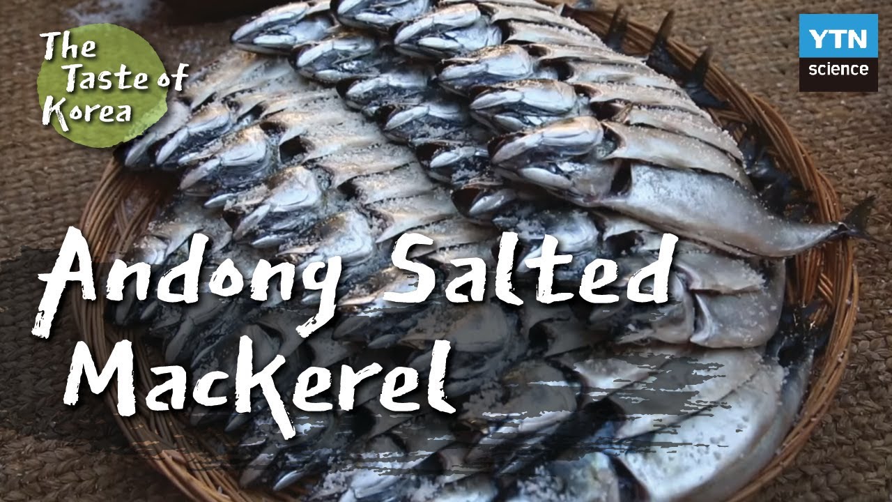 [The Taste of Korea] 02 Andong salted mackerel (with Eng sub)
