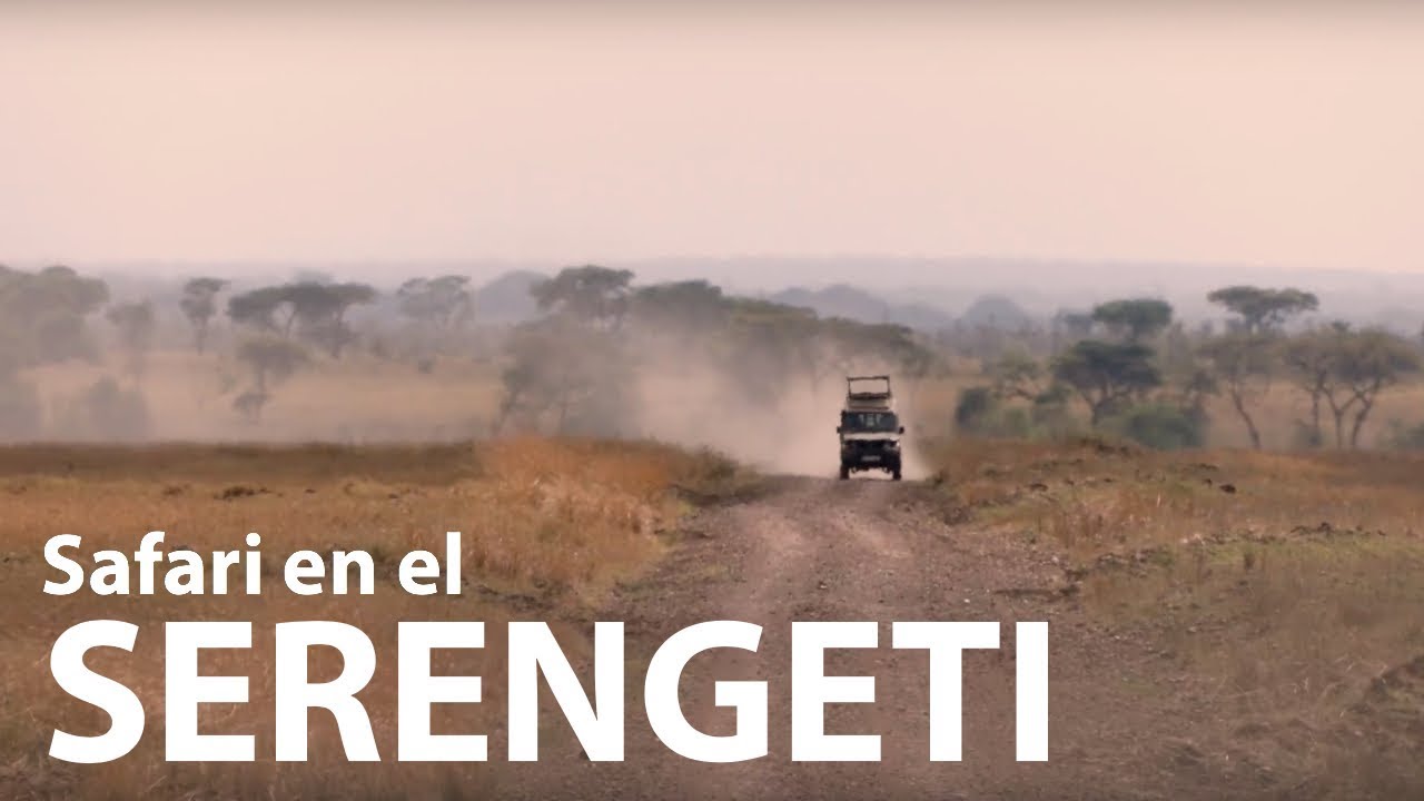 Safari en el Serengeti -TANZANIA