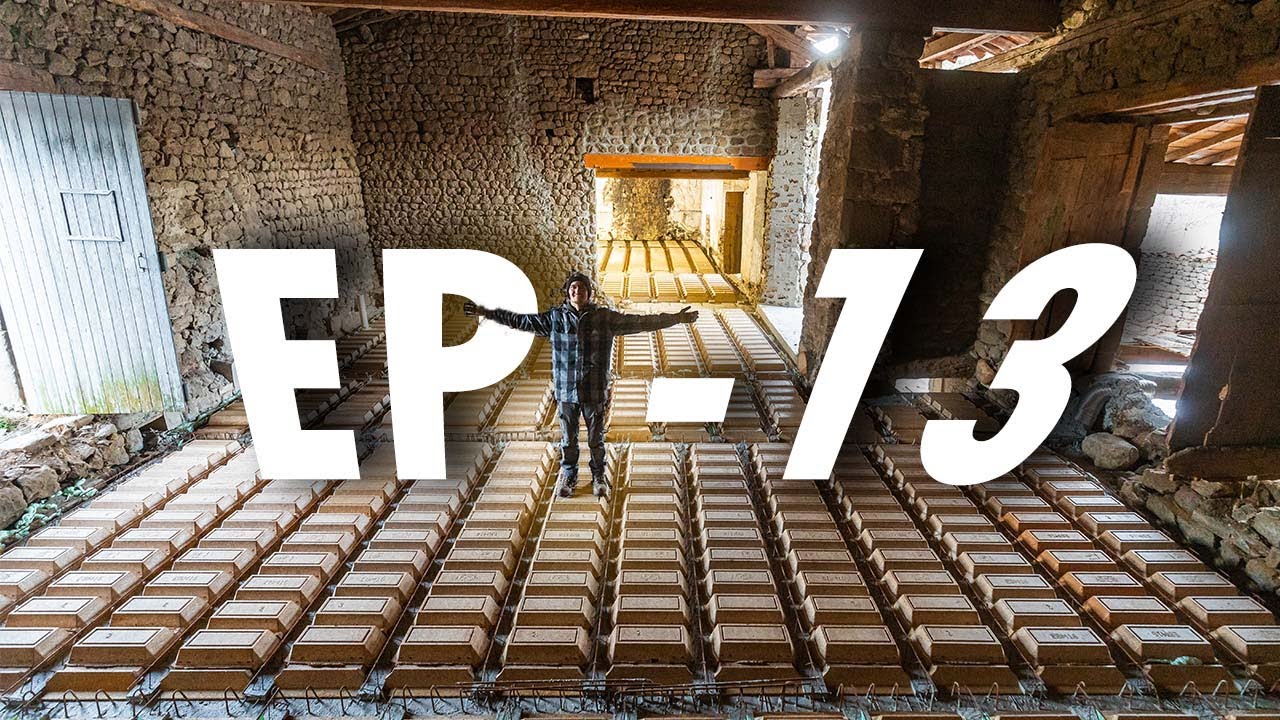 WE FINISH THE WOODEN JOINT! (and we recover our framework) EP - 13 - Renovation