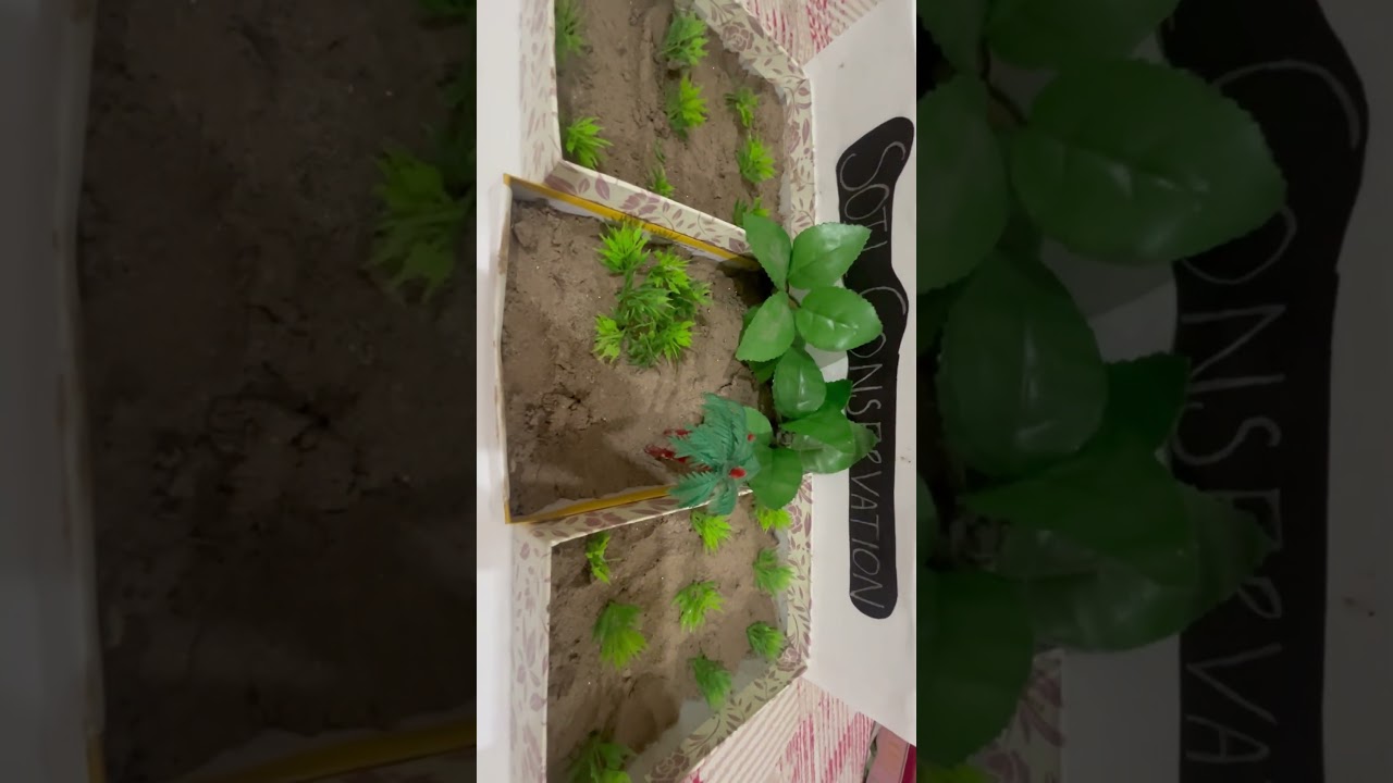 Method of conservation model