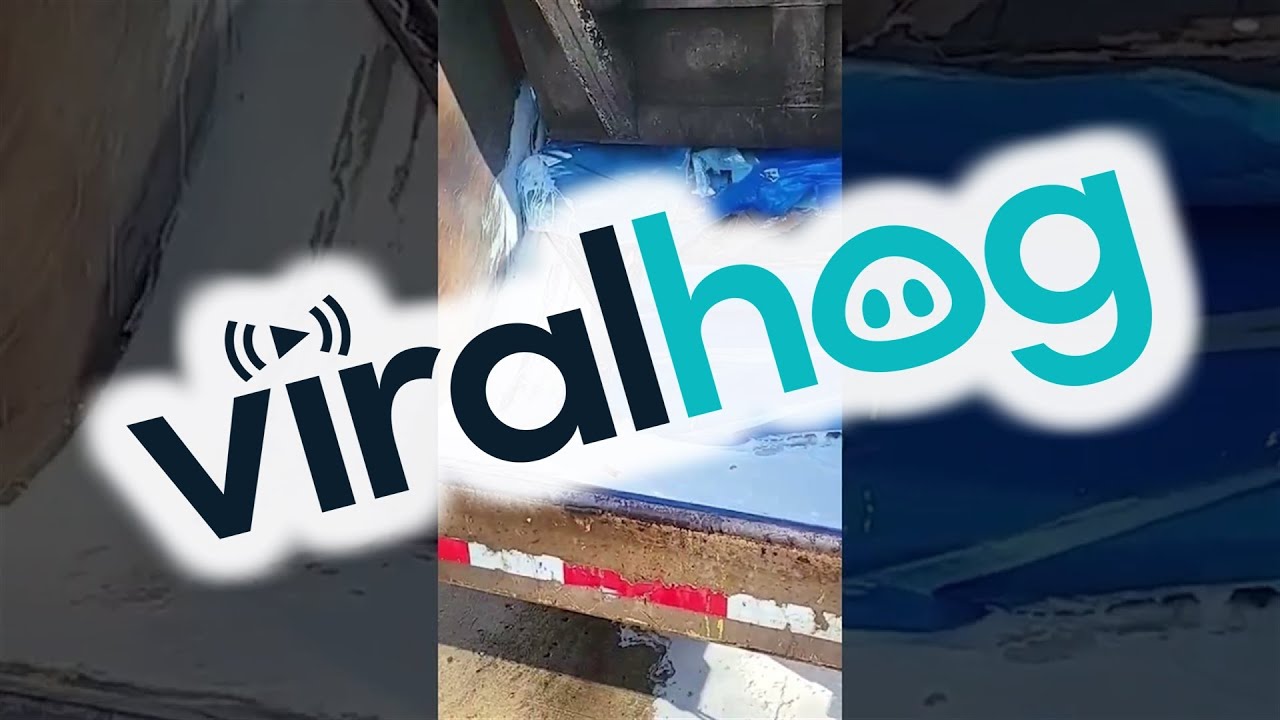 Gallons of Paint Spill Out of Garbage Truck || ViralHog