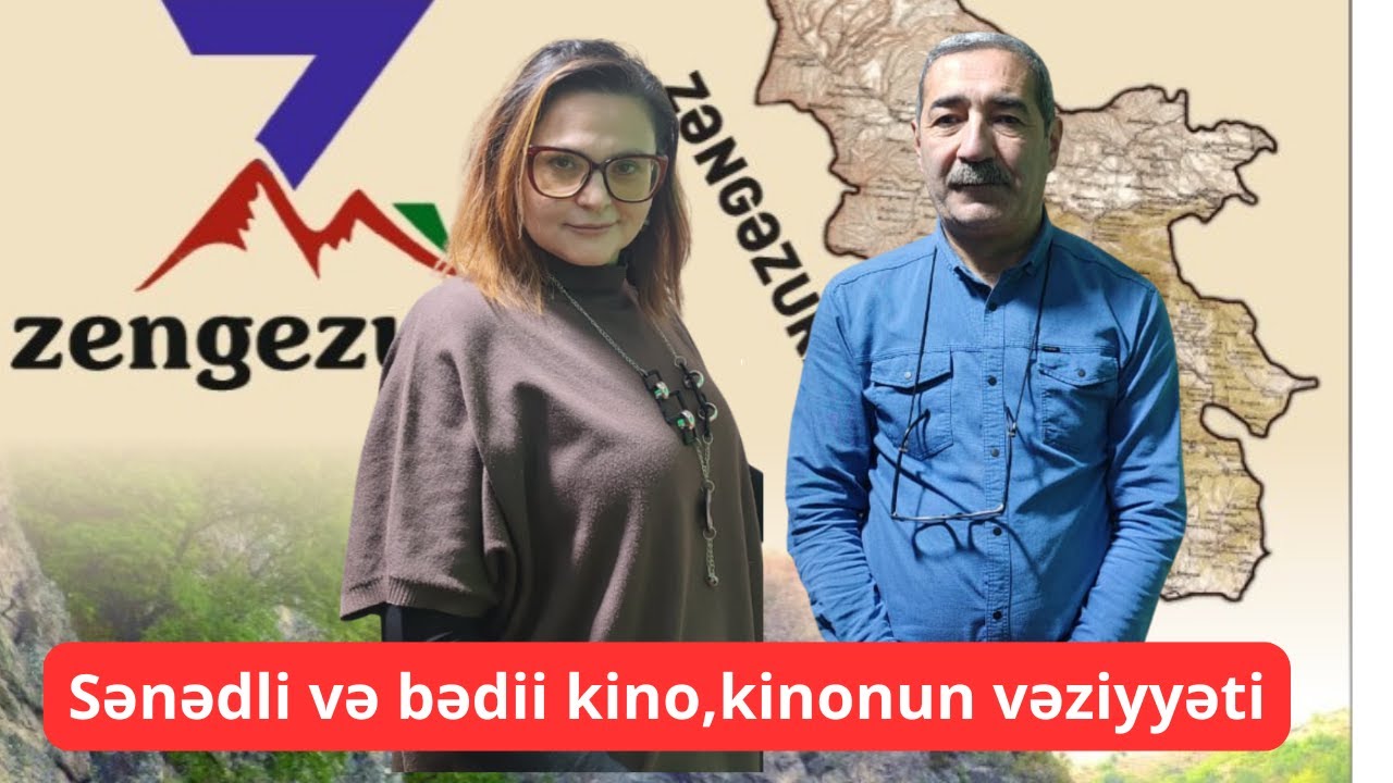 Sənədli və bədii kino,kinonun vəziyyəti