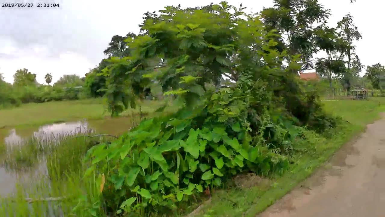 When The Village Children Saw Me As a Stranger, They Followed Us. They Were Shy Children.