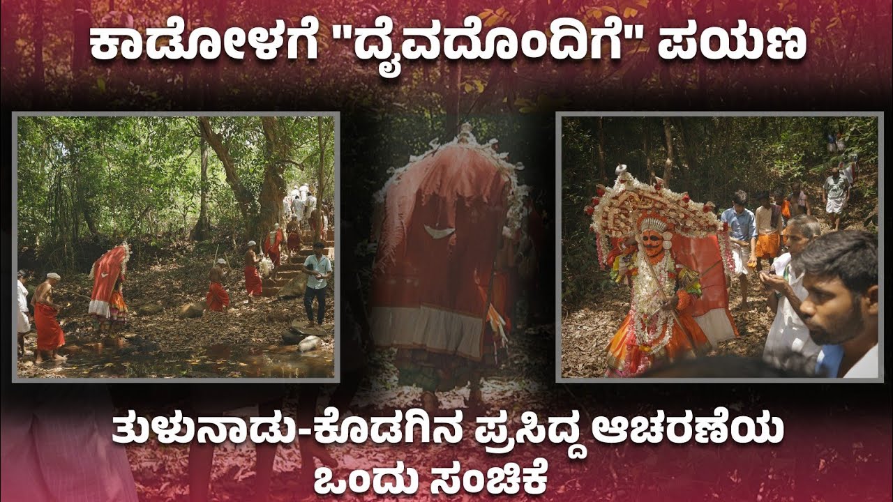 ದಟ್ಟ ಕಾಡೋಳಗೆ ಚಲಿಸುವ 