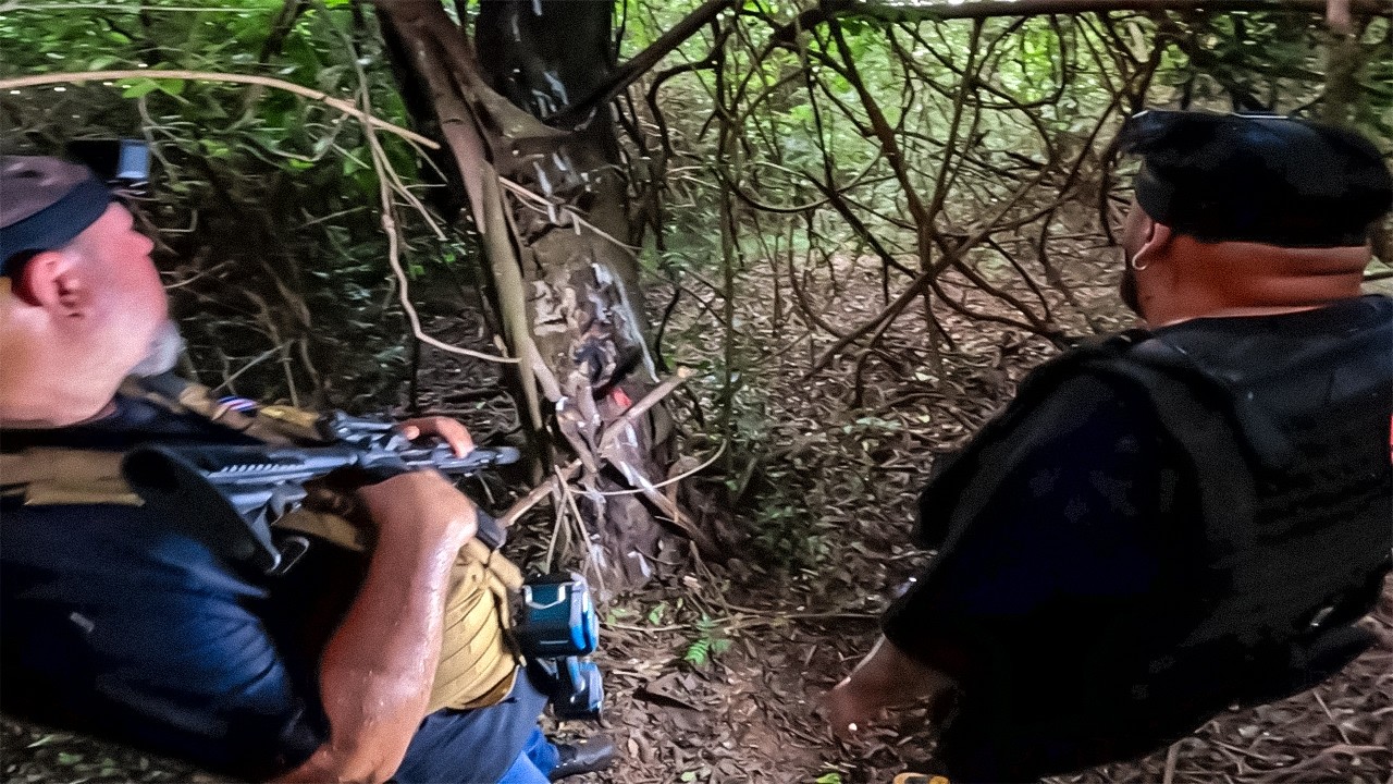 FICAMOS PERDIDOS NA FLORESTA DA MULHER SEM ROSTO