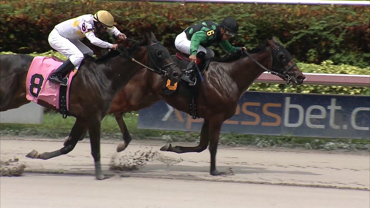Gulfstream Park Replay Show | June 9, 2017