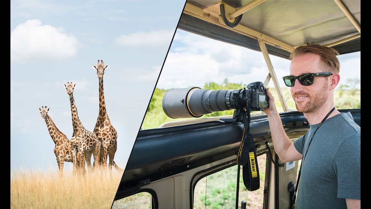 TIPS on SAFARI PHOTOGRAPHY with @nikon_photography