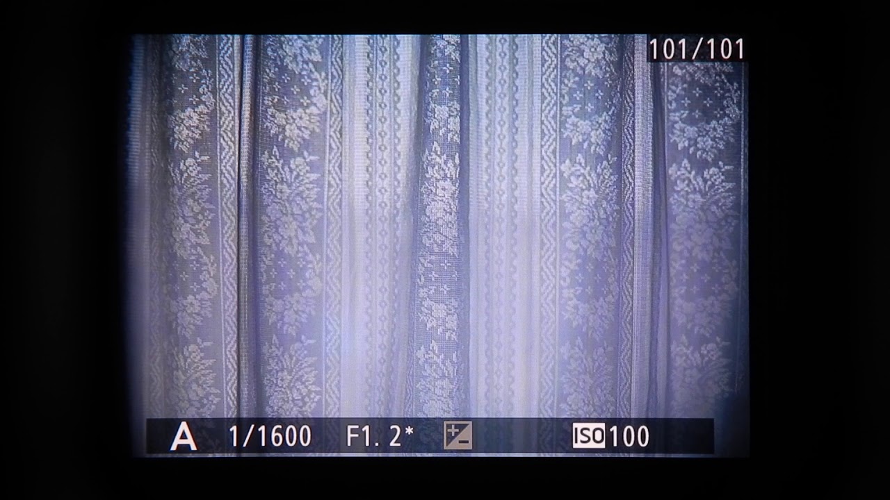 Nikon Z EVF
