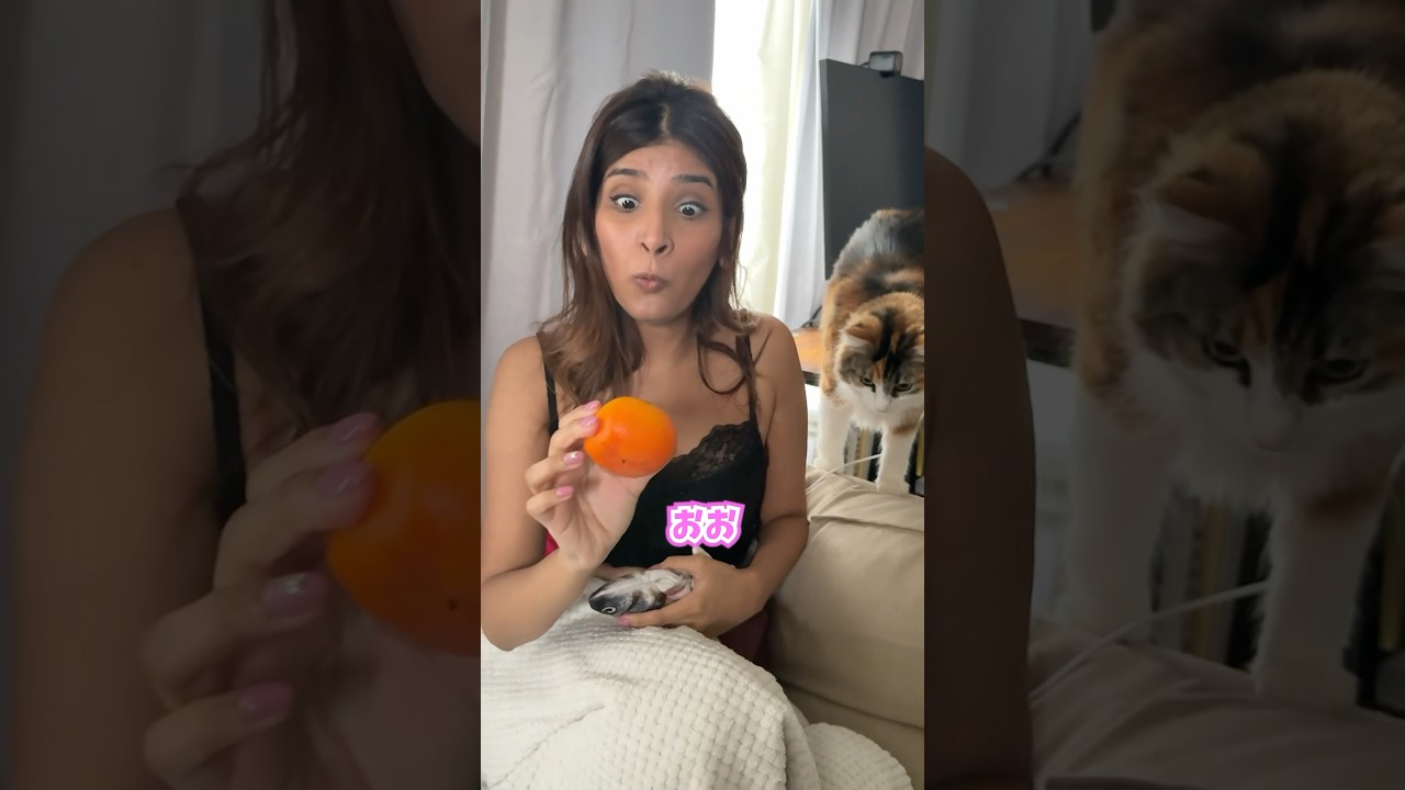 外国人妻に初めて柿食べさせたら、、