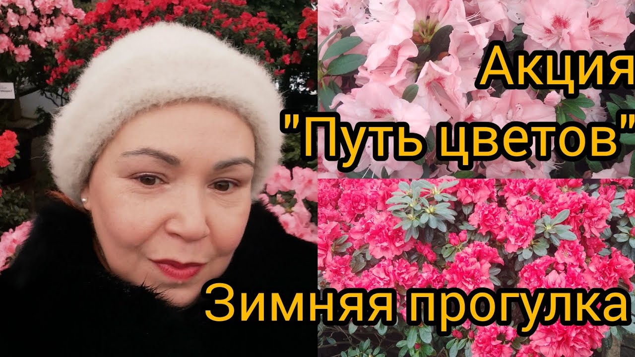 Зимняя прогулка😃акция 