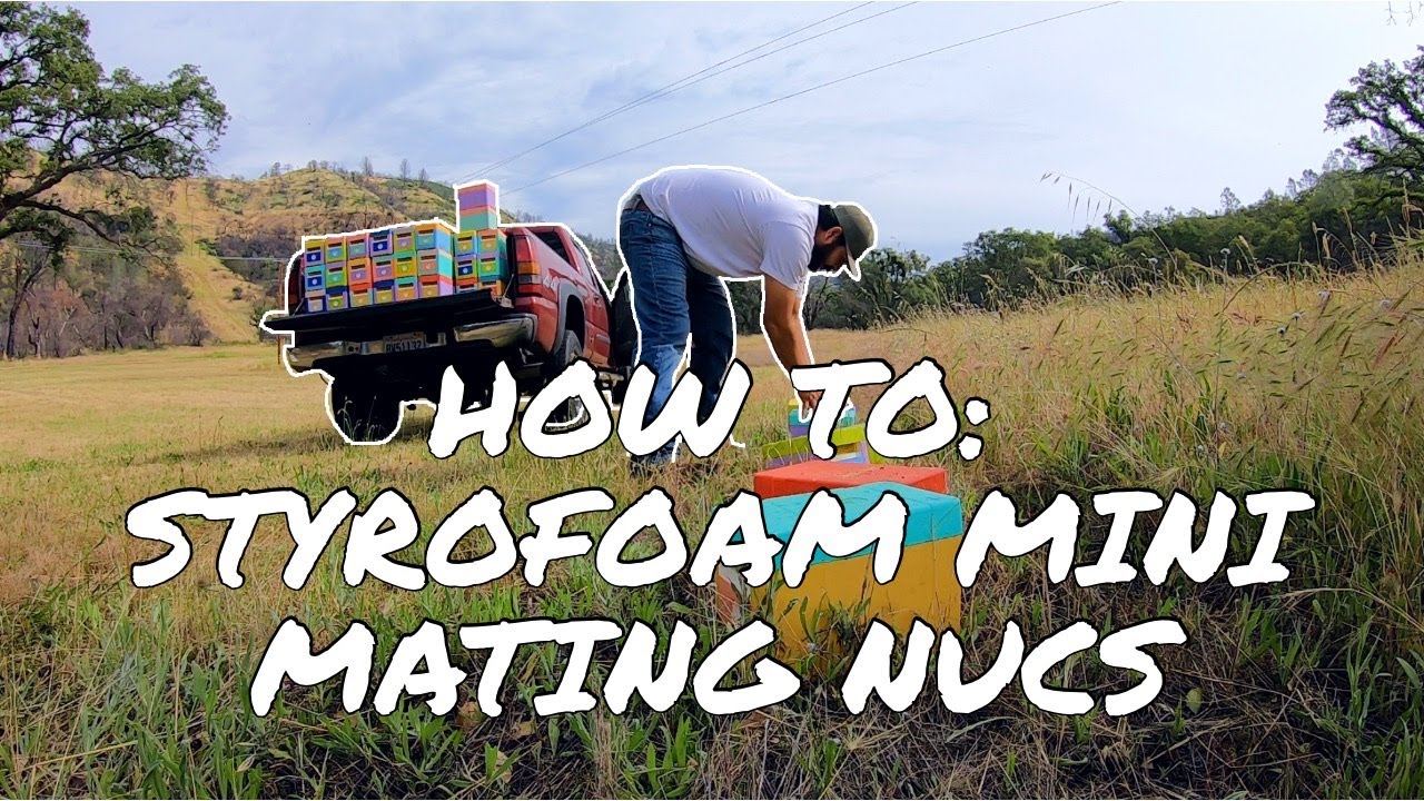 TIPS: MINI STYROFOAM MATING NUCS