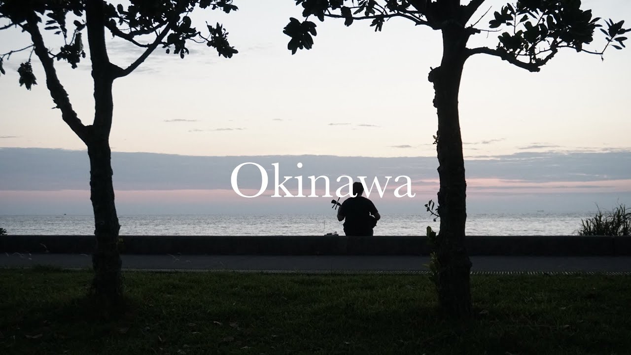 Larva | Okinawa Vlog