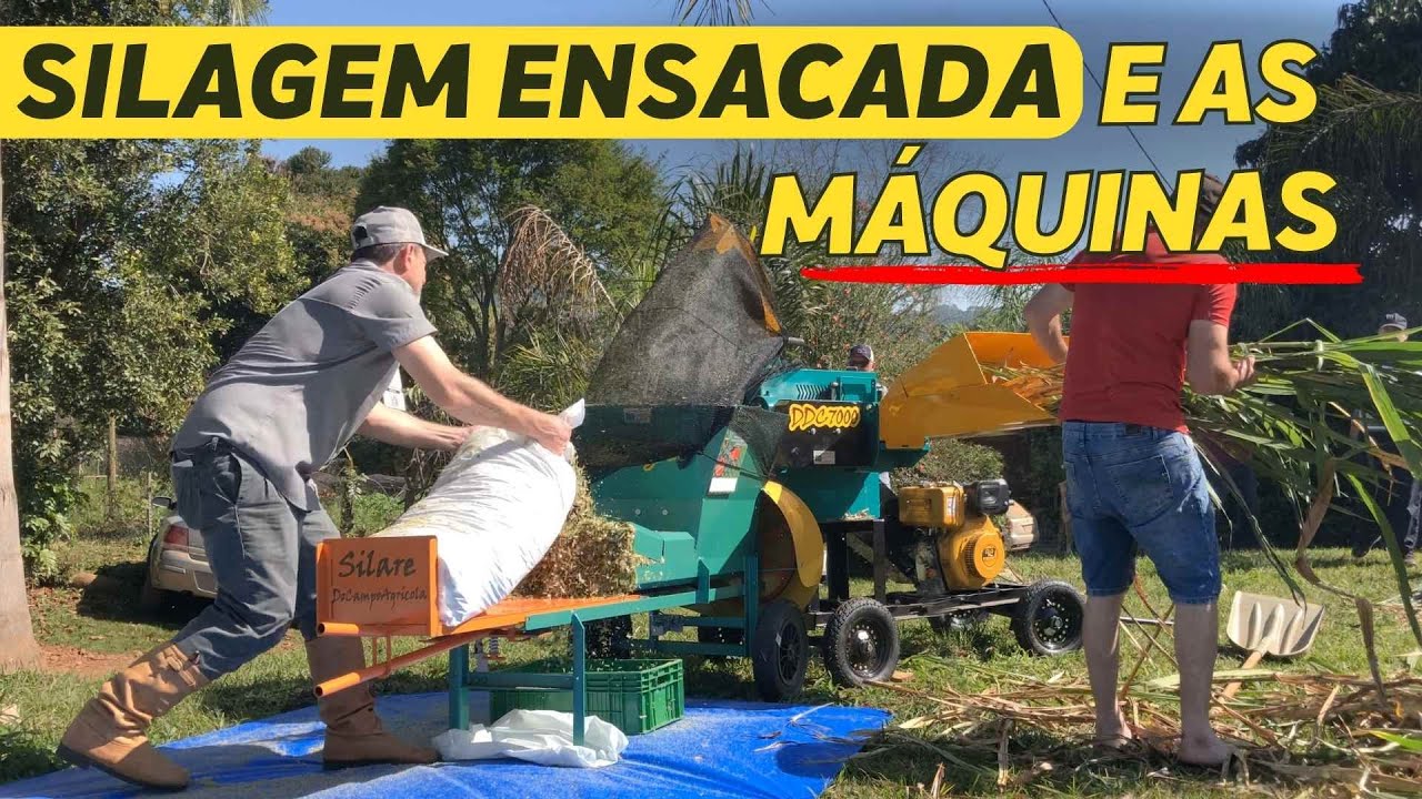 Ensacadora e ensiladeira juntas | Manejando SILAGEM com facilidade - Dia de Campo