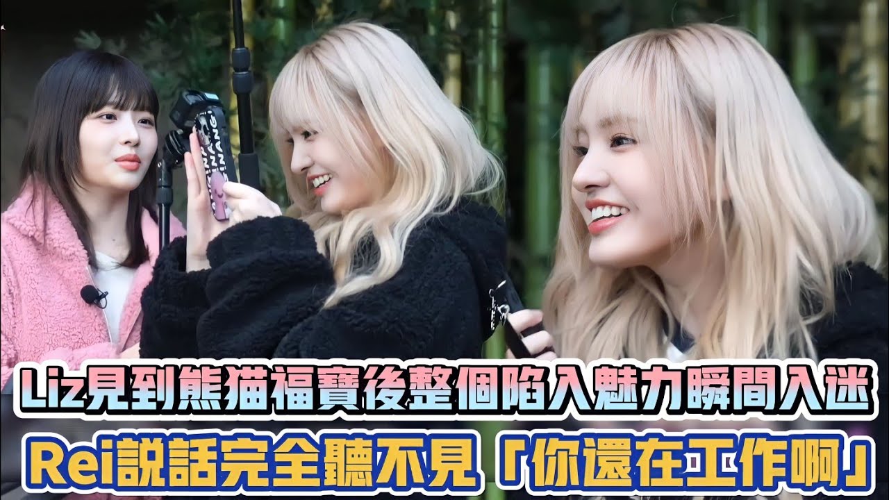 IVE Liz見到熊貓福寶後整個陷入魅力瞬間入迷 Rei說話完全聽不見「你還在工作啊」XD| [K-潮流]